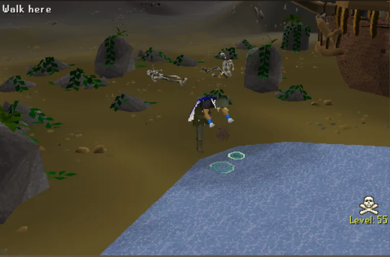 2005.RS Wilderness Content PvM Skilling: image 4
