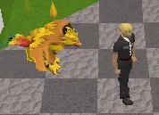 firemakingpet.png
