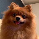 Pabblo234