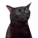 massiveproo